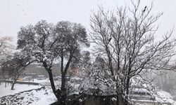 Bitlis’te kar yağışı ulaşımı aksattı: 82 köy yolu kapandı