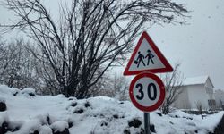 Bitlis’te yoğun kar yağışı: 111 köy yolu ulaşıma kapandı