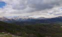 Bitlis’te Yağışlı Hava Devam Ediyor