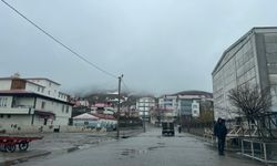 Tatvan’da yağmur sonrası dağlar bulutlarla kaplandı
