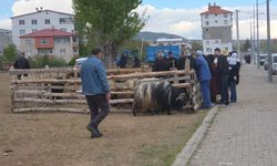 Tatvan’da arefe günü Kurban pazarlarında yoğunluk oluştu