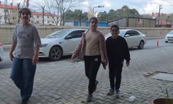 Tatvan’da yavru kuşu kurtarmak isteyen öğrencilerin çabası hüzünle sonuçlandı
