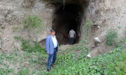 3 yıllık emek, 50 yıllık bereket: Bahçelere hâlâ can veriyor