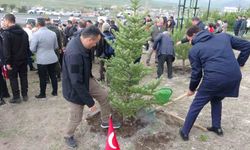 Ardahan'da 'Şehit ve Gazi Ormanı' törenle açıldı
