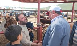 Bayram öncesi kurban pazarları canlandı