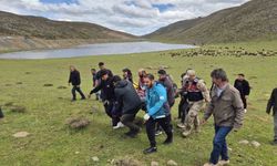 Bingöl'de dağlık arazide düşerek yaralanan şahıs kurtarıldı