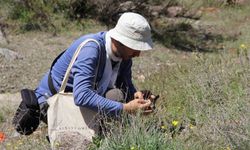 Darende'de flora projesi için ilk saha çalışması sona erdi