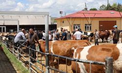 Elazığ Hayvan Pazarında arife günü yoğunluğu yaşandı