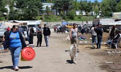 Elazığ hayvan pazarında hareketlilik devam ediyor
