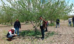 Elazığ'da dolu sonrası ekipler sahaya indi