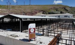 Elazığ'da kurban satış ve kesim alanlarında çalışmalar hız kazandı