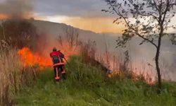 Elazığ'da otluk alanda çıkan yangın korkuttu