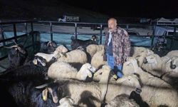 Elazığ’da vatandaşlar geceyi hayvanlarının başında geçirdiler