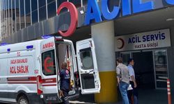 Erzincan'da acemi kasaplar iş başında