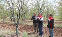 Futboldan tarıma uzanan yolculuk Erzincan’da meyve verdi