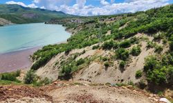 Gülistan Doku soruşturmasında sahada yeni delil arayışı