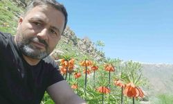 Hakkari’de 2 bin 700 rakımda açan ters laleler hayran bıraktı