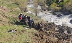 Hakkari'de bataklığa saplanan inek için ekipler seferber oldu