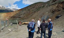 Hakkari’de kurbanlık satışları hız kazandı