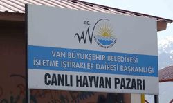 Hayvan pazarında ortalık karıştı: 1 ölü, 13 yaralı