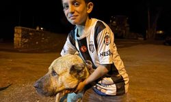 İki ayının saldırdığı 10 yaşındaki Sencar’ı “Kral” kurtardı