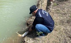 Karasu Nehri'nde kaçak avcılığa karşı denetim gerçekleştirildi
