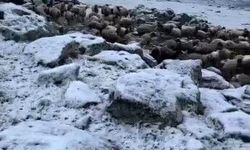 Kars eksi 5 dereceyi gördü, kar yağışı şaşırttı