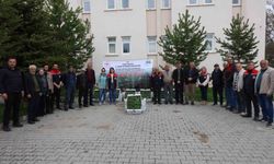 Kars’ta sebze üreticilerine fide desteği