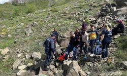 Kayalıklardan düşen yaşlı kadın sağ olarak kurtarıldı