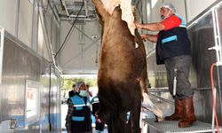 Kurban kesiminde kurallara uymayanlara ceza kapıda
