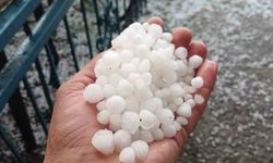 Malatya'da dolu kayısı bahçelerini vurdu