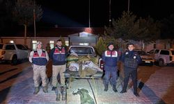Muradiye'de 630 kilo inci kefali yakalandı