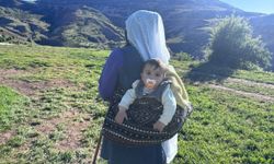 Şavakların yayla serüveni tulum peynirine hayat veriyor