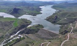 Tercan’da şiddetli sel ekili alanlara zarar verdi