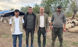 Türkiye’de bir ilk: Afgan çobanlar asgari ücretle iş başı yaptı