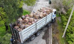 Üniversitede 76 ton atık ekonomiye katkı sağladı