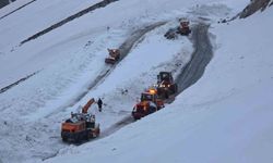 Van-Bahçesaray yolunda hasret bitiyor: Açılış bugün planlanıyor