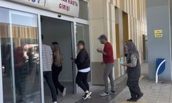 Van'da 171 kişi acemiliğin kurbanı oldu