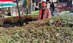 Van'da fide satışlarında yoğunluk yaşanıyor