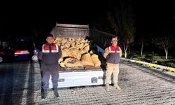 Van'da kaçak avlanan 800 kilo balık yakalandı