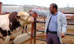 Van’da Kurbanlık pazarında bayram bereketi