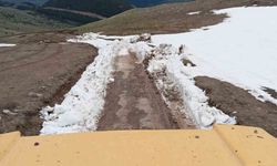 Yoğun kar yağışı sonrası yayla yolu yeniden ulaşıma açıldı