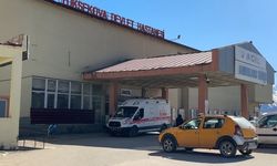 Yüksekova'da otlatma sırasında patlama: Çoban yaralı, 3 koyun telef
