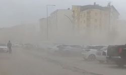 Yüksekova'da şiddetli rüzgar hayatı olumsuz etkiledi