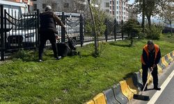 Ahlat Cumhurbaşkanlığı Külliyesi önünde ot temizleme çalışması