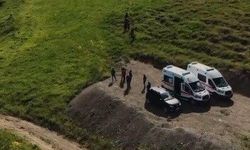 Mantar toplamaya giden 3 kişi ayı saldırısına uğradı