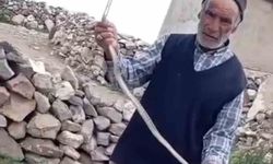 Eve girmeye çalışan yılanı çıplak elle etkisiz hale getirdi