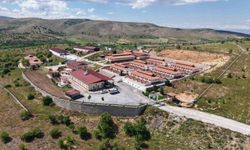 15 bin 368 hayvan tedavi edildi, binlercesi sağlığına kavuştu