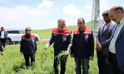 Akyaka’da dolu felaketi: Hasar tespit çalışmaları devam ediyor