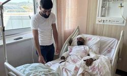 Ayı saldırısından kollarını siper ederek kurtuldu